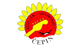 15. Čepinski suncokreti